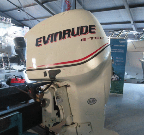 200 EVINRUDE - Image 2
